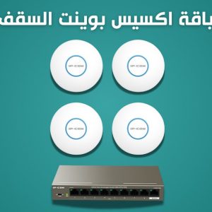 Ceiling Access Point Bundle
