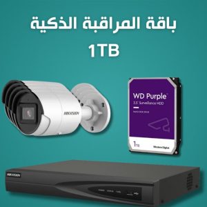 Smart Surveillance Bundle 1TB