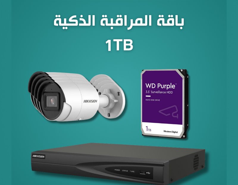 Smart Surveillance Bundle 1TB