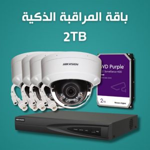 Smart Surveillance Bundle 2TB