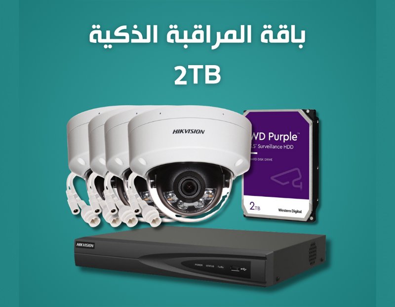 Smart Surveillance Bundle 2TB