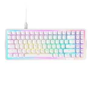 NZXT Function Elite Mini TKL Wired Gaming Keyboard - White