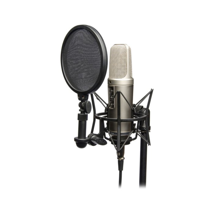 Rode NT2-A Multi-Pattern Studio Condenser Microphone, Shock Mount & Detachable Pop Filter, XLR Cable Included - Image 3