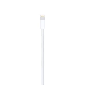 Apple Lightning To USB Cable (1M)