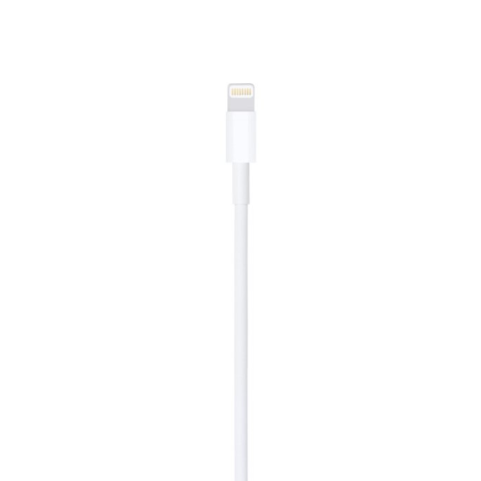 Apple Lightning To USB Cable (1M)